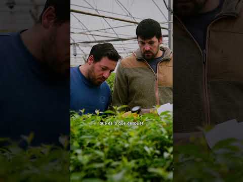 Episodio 4: Alfredo Alonzo - Todo futuro tiene raíces.